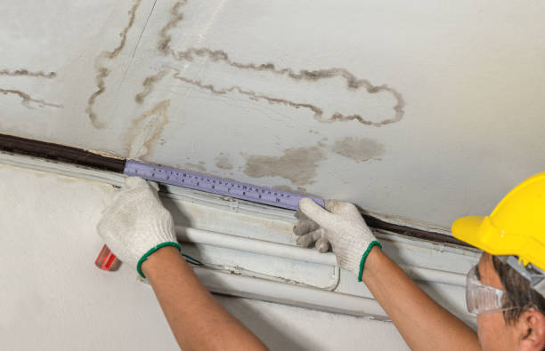 Reliable Sewage Cleanup contractor in Barnardsville, NC by Water Damage Irwin